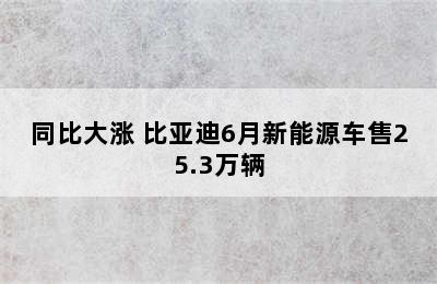 同比大涨 比亚迪6月新能源车售25.3万辆